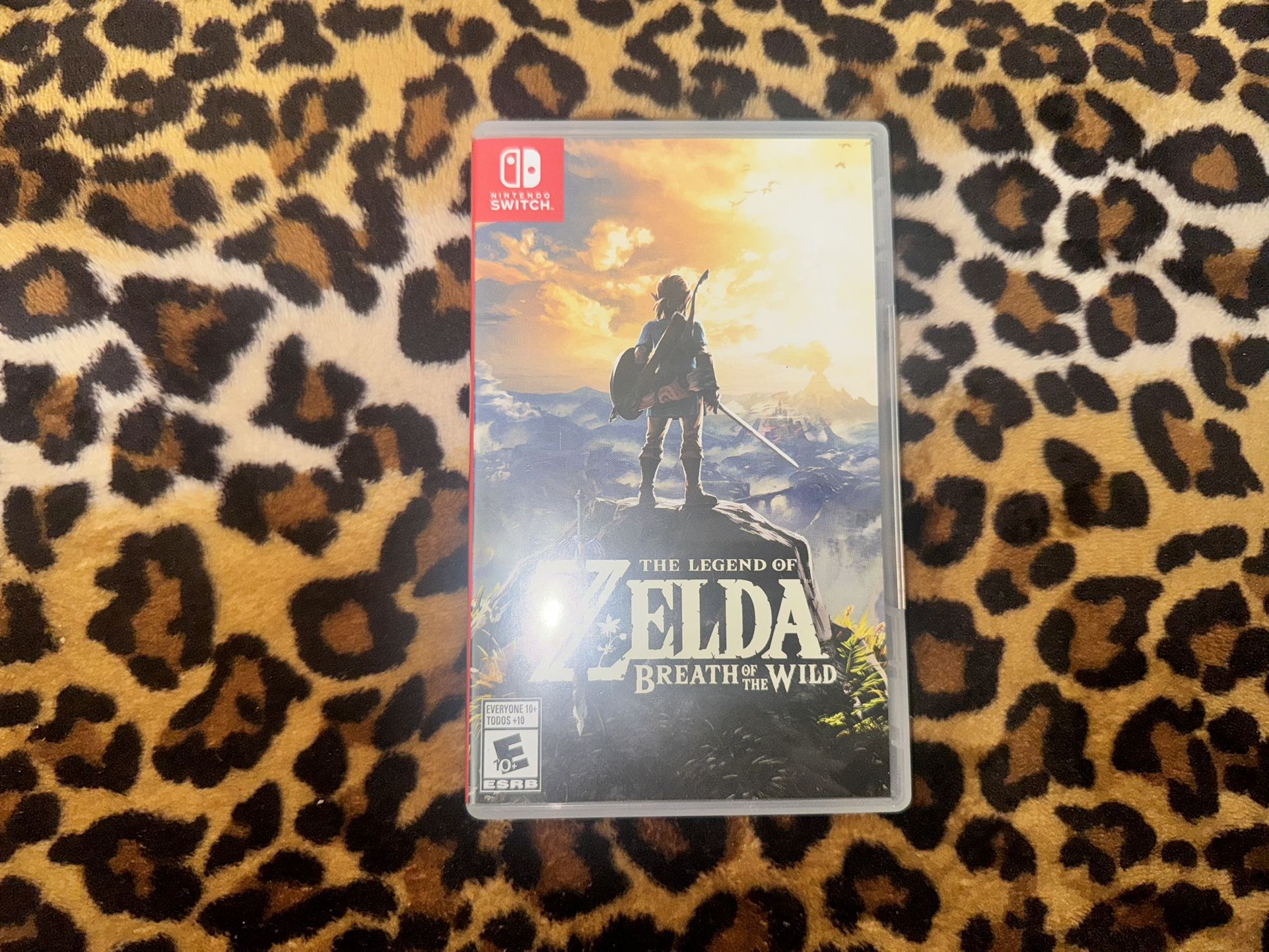 Zelda Botw