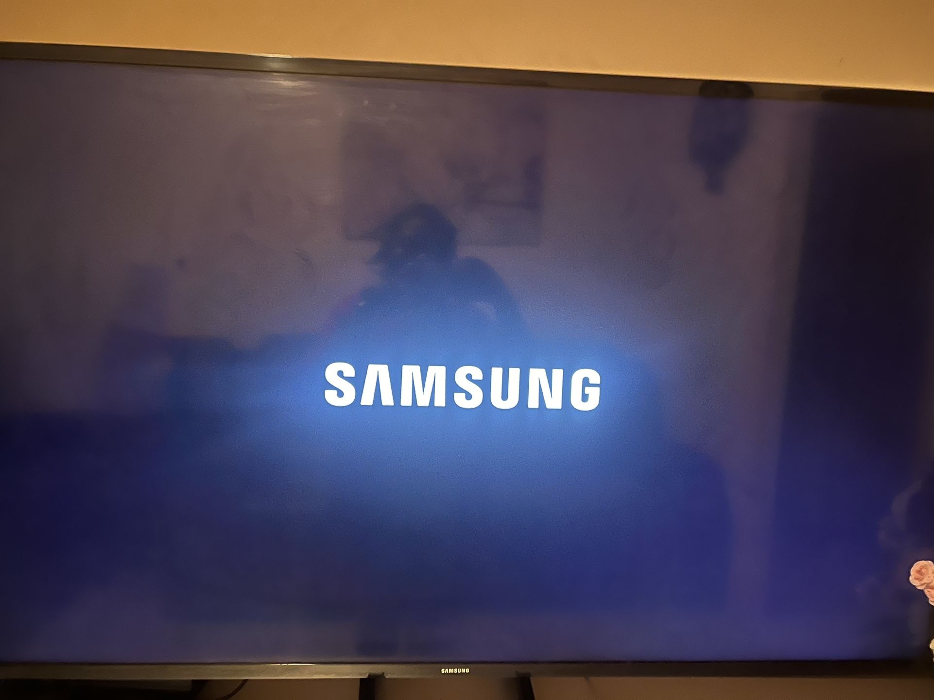 43 Inch Samsung TV 