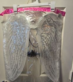Silver glitter feather accent wing set new near Clayton/ Craig