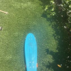 Skate Board 