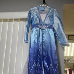 Elsa Frozen Costume 