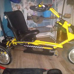 Freedom  Concept 3 Wheel Bike 