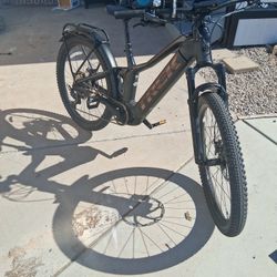 TREK Powerfly 9 FS.  E BIKE