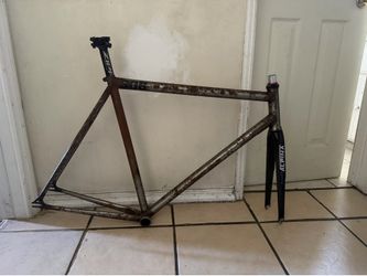 Alpina Fork + steel frame