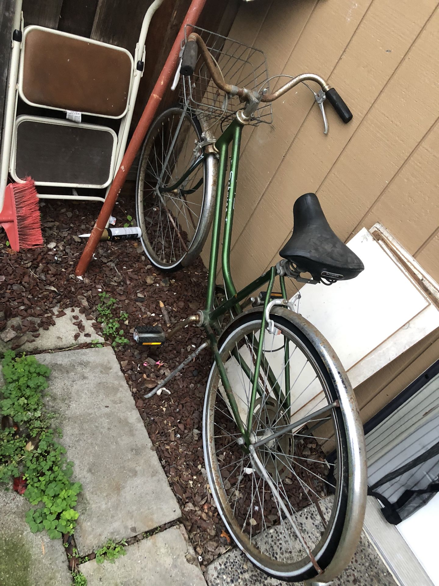 Vintage schwinn Collegiate Bike 1965