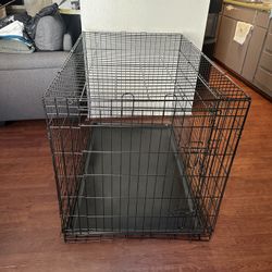 Dog Kennel 