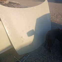 Hood of an infinity 2007