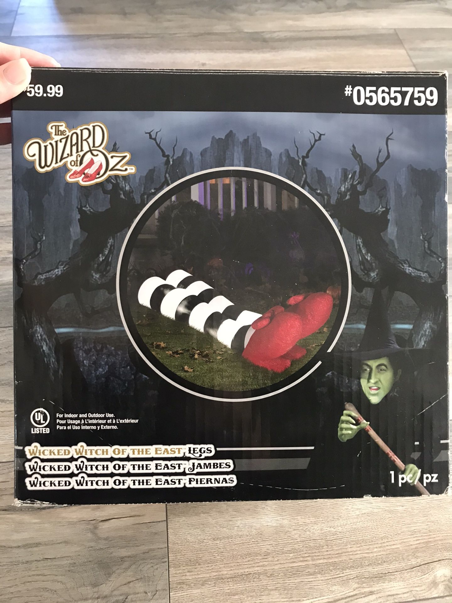 Wizard of Oz Halloween Decoration