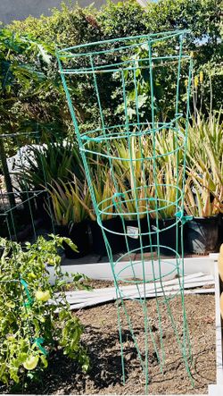 Trellis