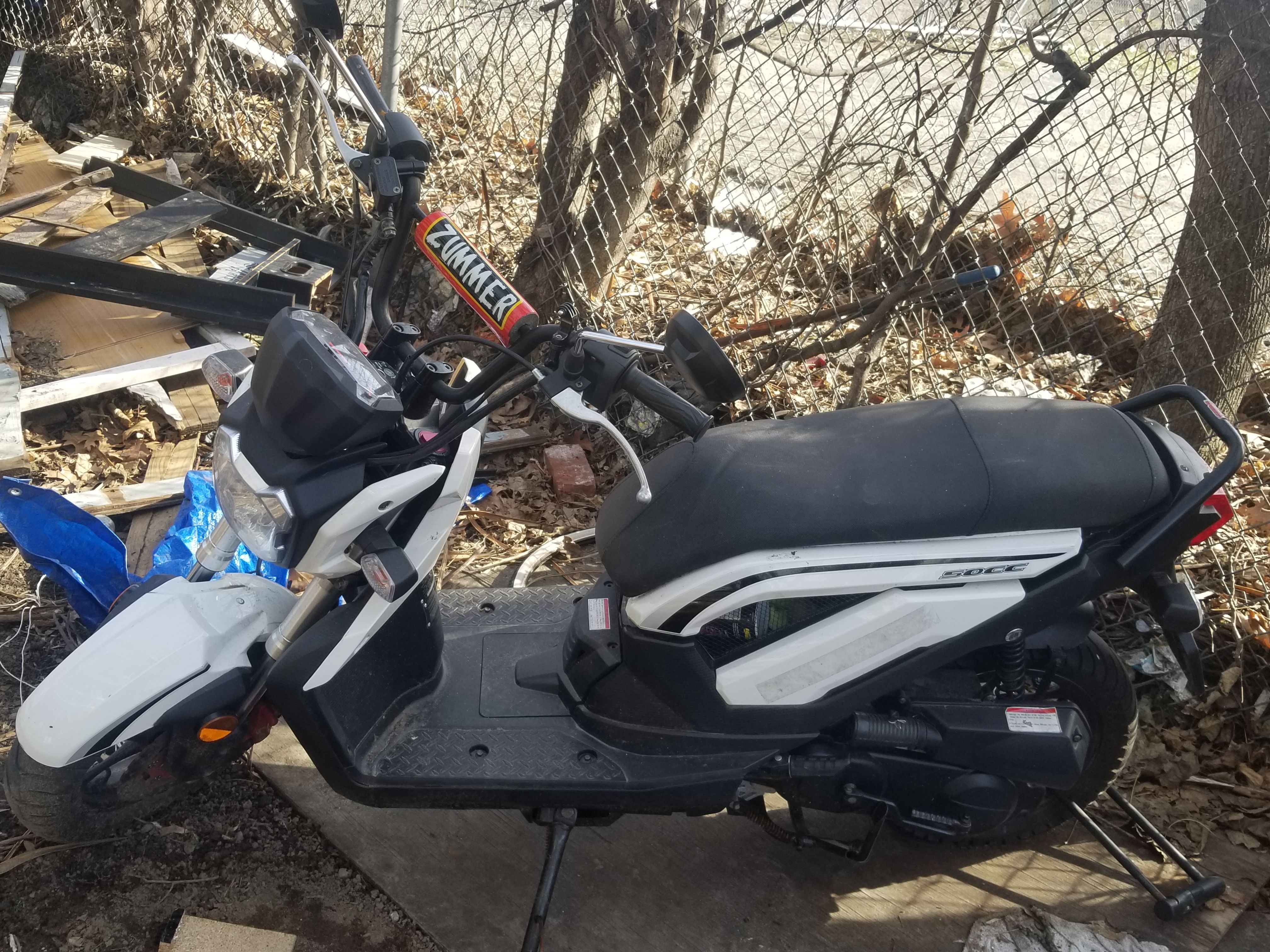50cc TaoTao Zummer