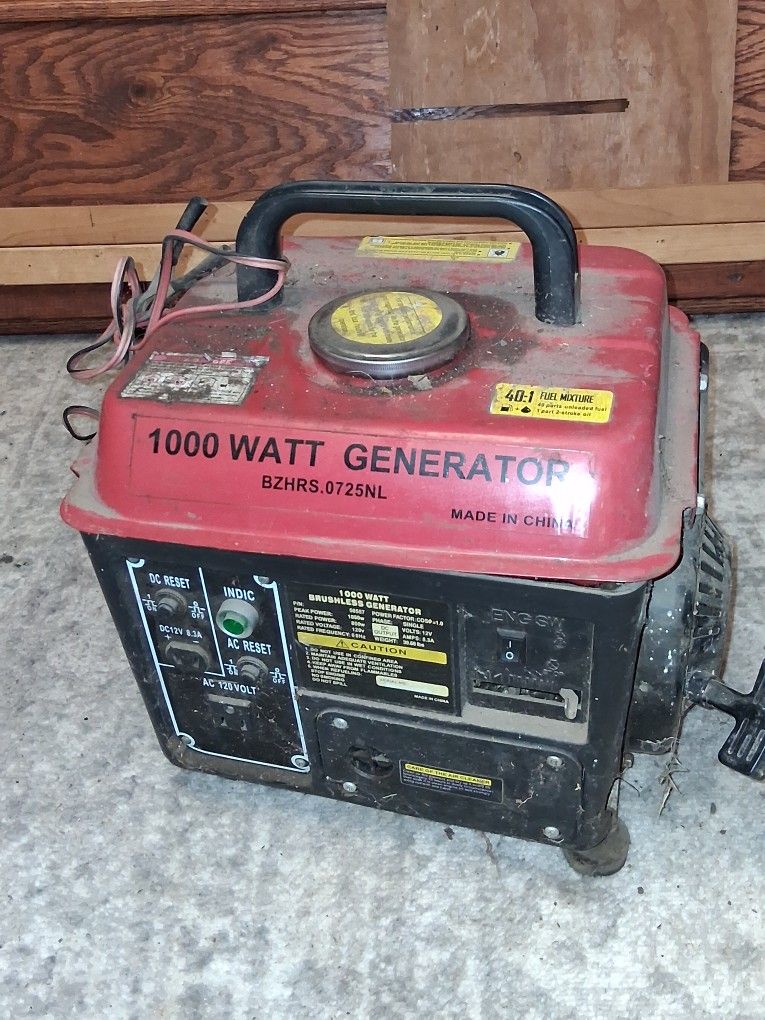 1000 Watt Brushless Generator