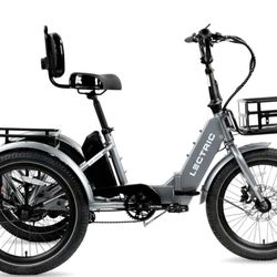 Lectric brand e-trike