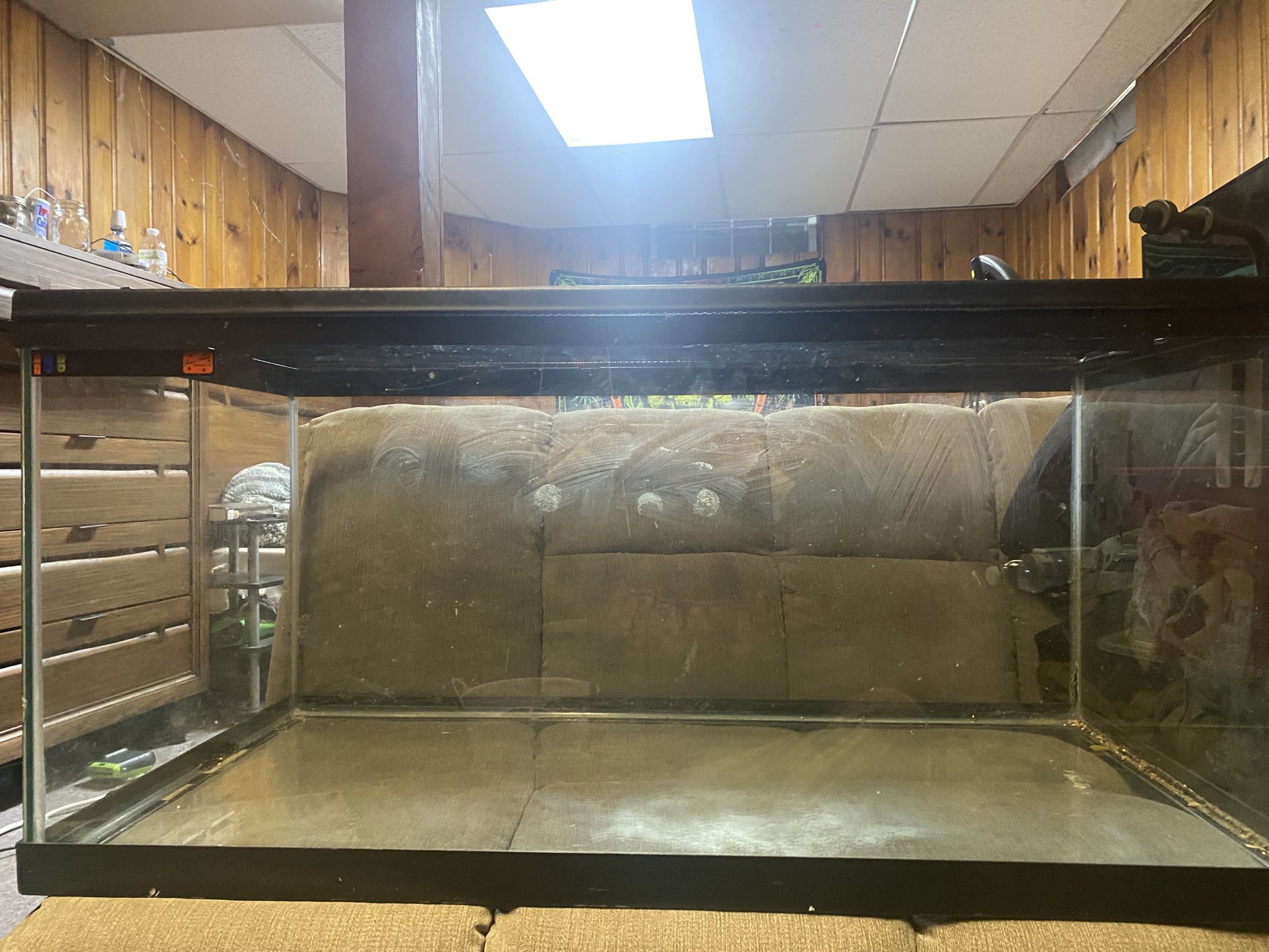 40 Gallon Tanks