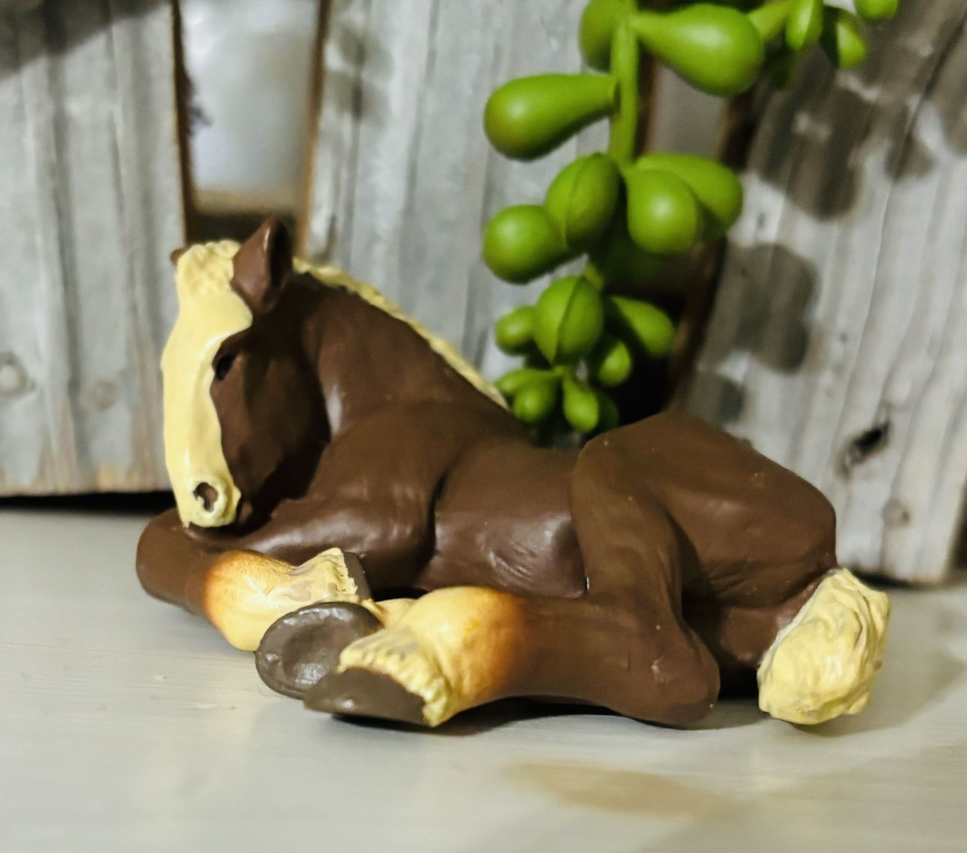 Adorable RETIRED Draft Laying Foal