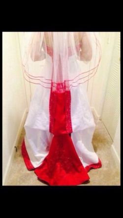 David’s Bridal Wedding Gown