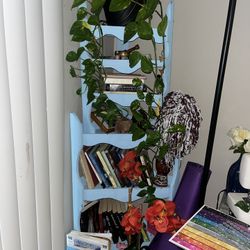 Book Shelf
