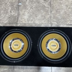 2 Twelve Inch Speakers 