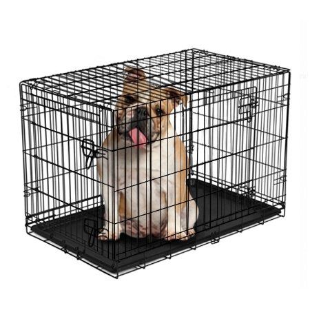 Vibrant Life Double-Door Folding Wire Dog Crate with Divider, 36"L
