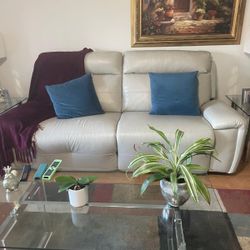 Free Sofa And Reclinable Chair