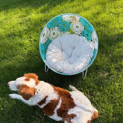 Small pet bed