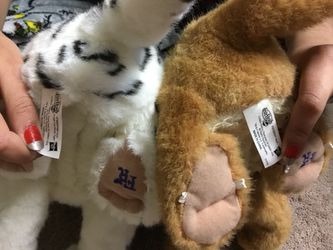 Hasbro FurReal Friends: Jungle Cat (Lion Cub) – DREAM Playhouse