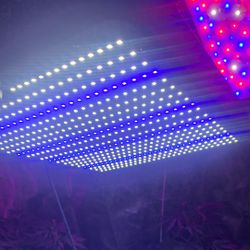 BestVa 2000w LED GROW LIGHT