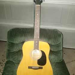 Rougue Acoustic Guitar. 