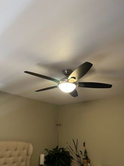Ceiling fan