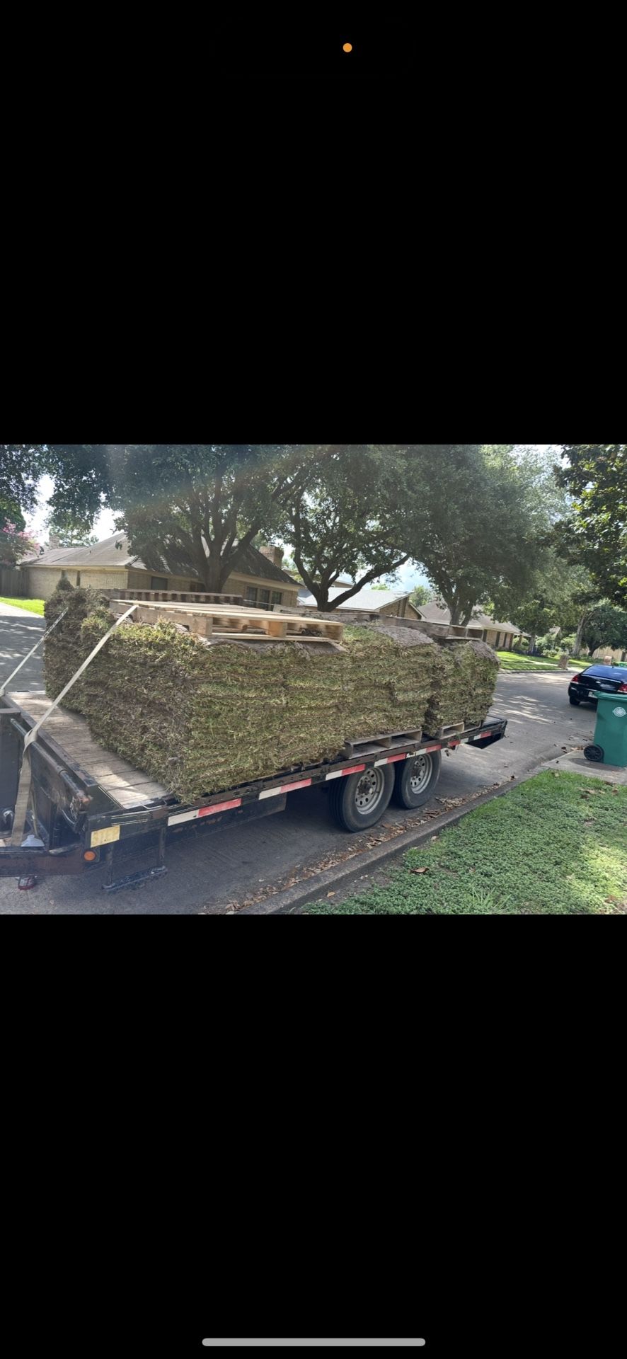 Grass Sod