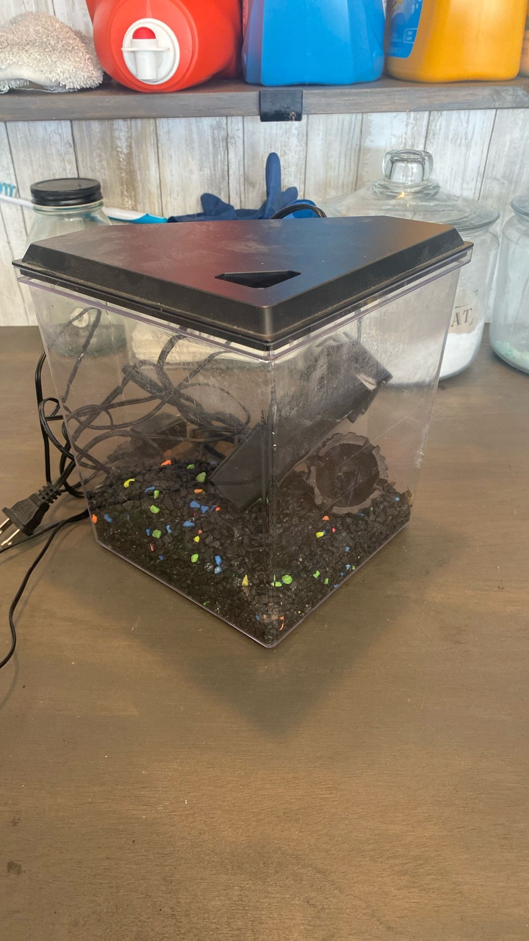 Small Fish Tank