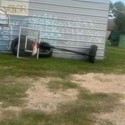 Basketball Hoop