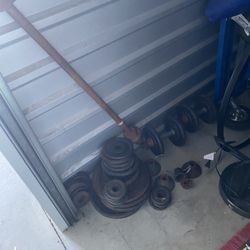Free Weights 