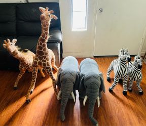 Plush Animals