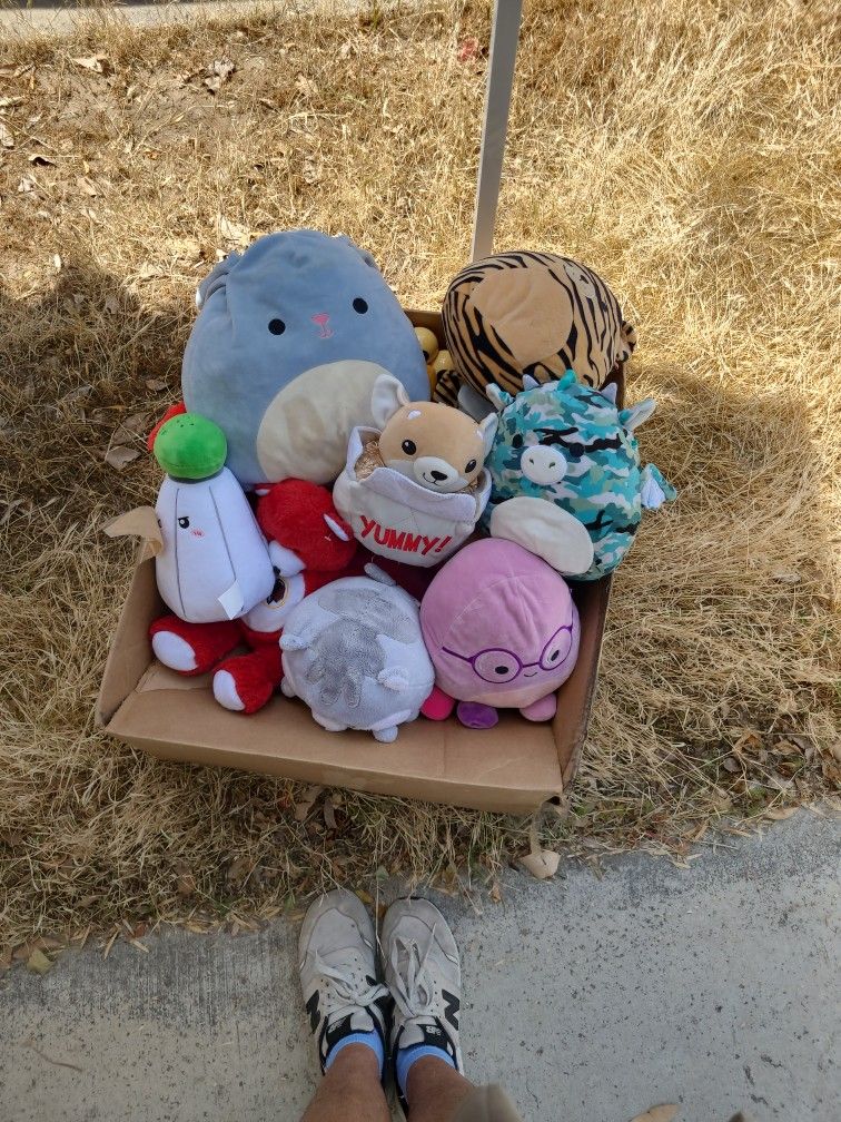 Stuffed Animal Lot 
