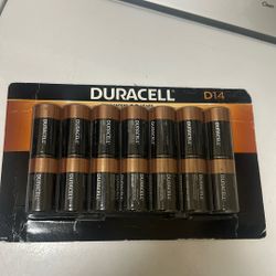 Baterías Duracell D14 