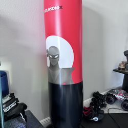 Kids Punching Bag