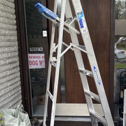 6ft Ladders 