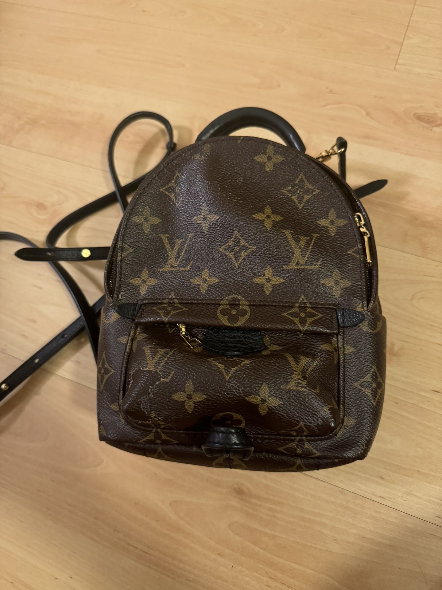 Authentic Louis Vuitton 