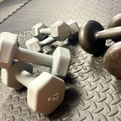 4 Sets of Dumbbells. 8#, 12#, 15# and 20 pounders. BruteW: 110 #