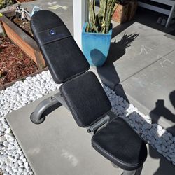 Paradigm Agility Weight Bench.