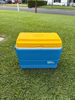 Igloo cooler
