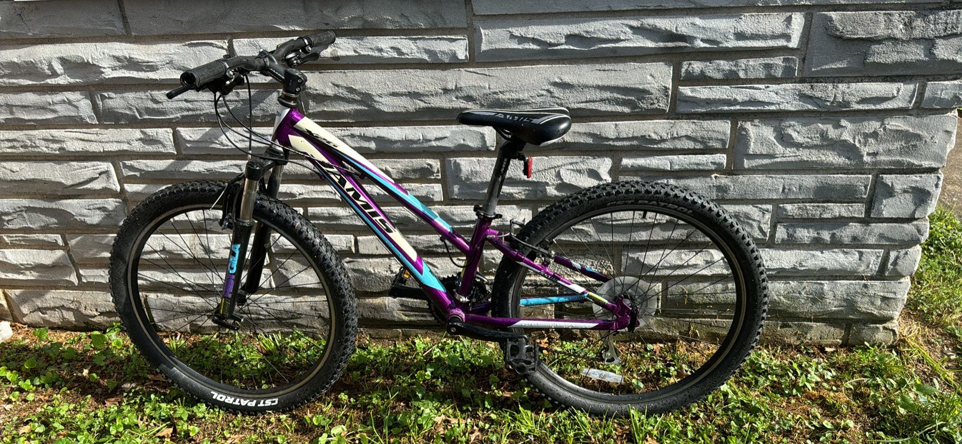 Mountain bike