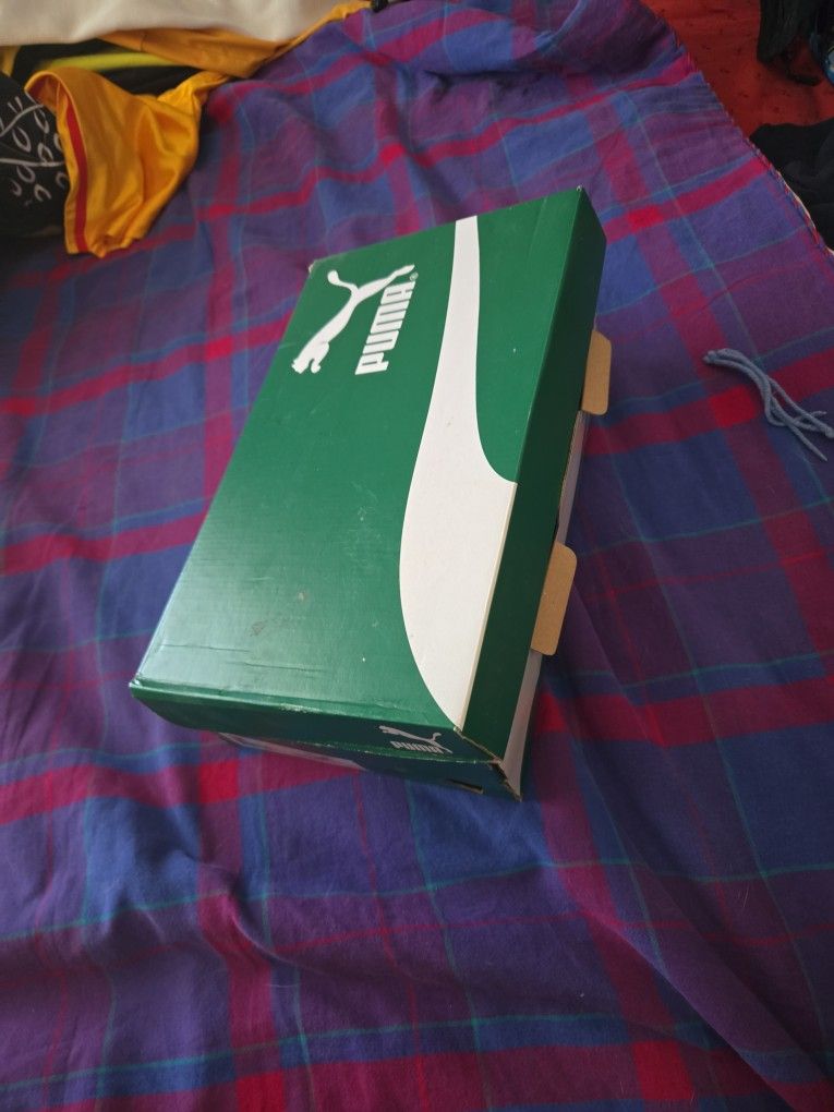 Men's Shoes