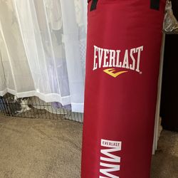 Punching Bag 