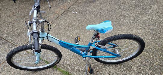 Trek Mt 220 bike.
