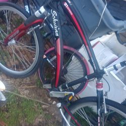 21 Speed Adult Bicycle