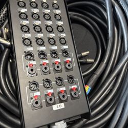 Seismic Audio 100’ Snake 