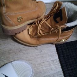 Timberland Champion 