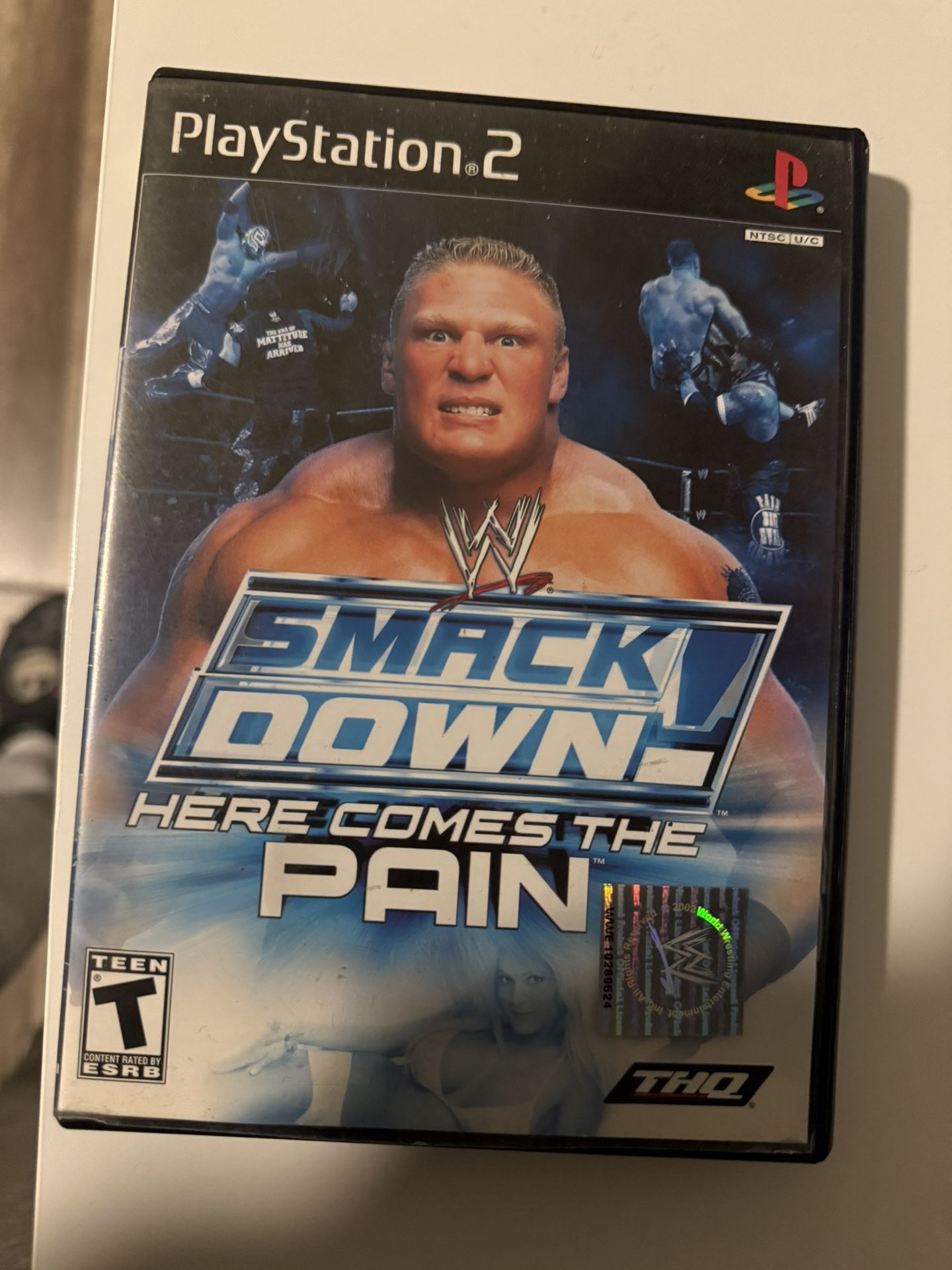 Here Comes The Pain Ps2