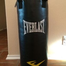Everlast punching bag